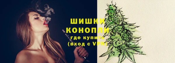 СК Вязьма